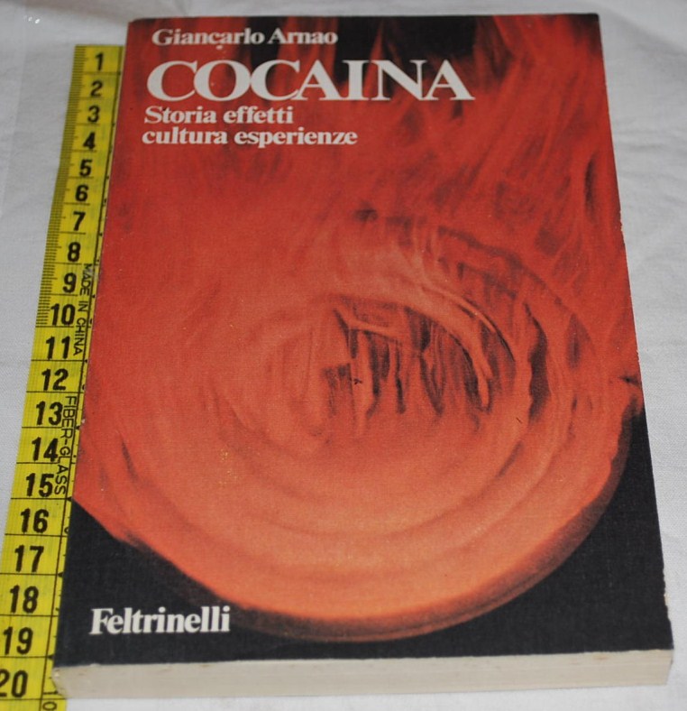 http://www.labancarelladiziasam.it/nuove_inserzioni1/arnao_cocaina_170812.jpg