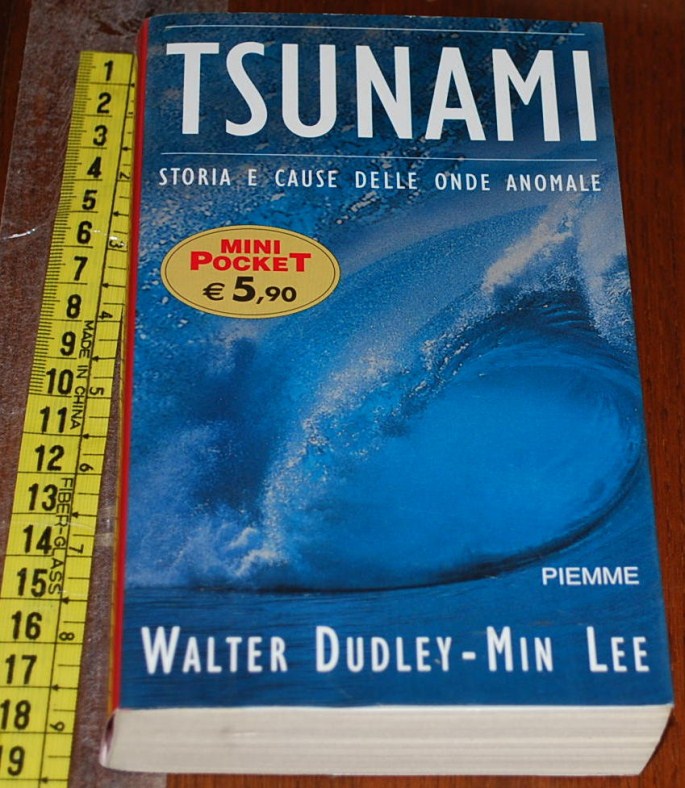 https://www.labancarelladiziasam.it/nuove_inserzioni1/dudley_tsunami_100912.jpg