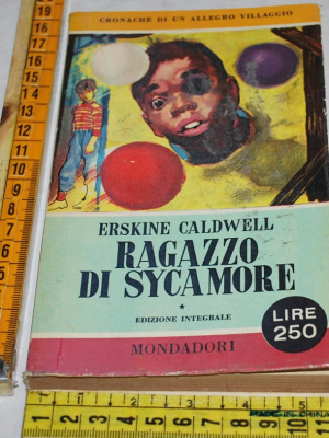 Caldwell Erskine - Ragazzo di Sycamore - Mondadori Pavone