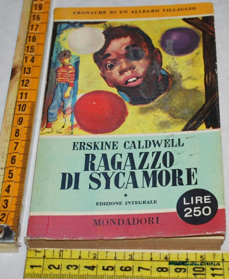 Caldwell Erskine - Ragazzo di Sycamore - Mondadori Pavone