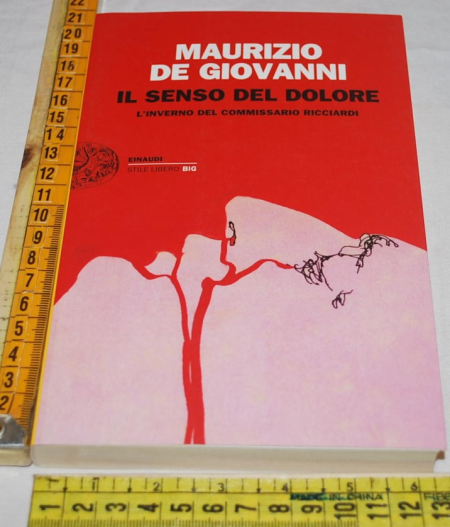 De Giovanni Maurizio - Il senso del dolore - Einaudi SL Big