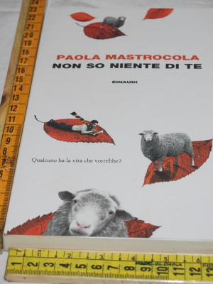 Mastrocola Paola - Non so niente di te - Einaudi