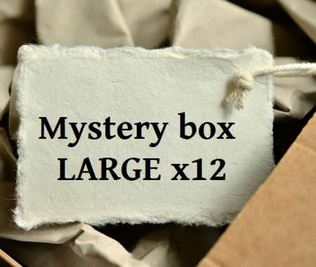 Mystery box LARGE x12