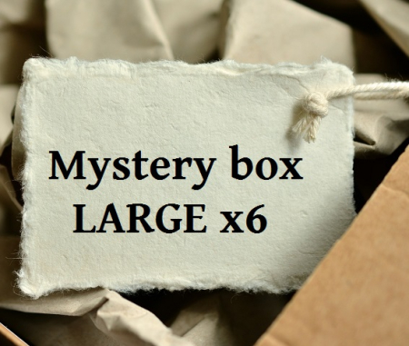 Mystery box LARGE x06