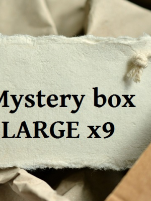 Mystery box LARGE x09