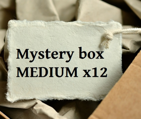 Mystery box MEDIUM x12