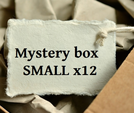 Mystery box SMALL x12