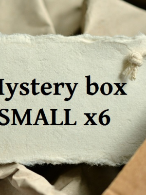 Mystery box SMALL x06