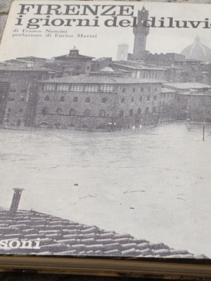Nencini - Firenze i giorni del diluvio - Sansoni