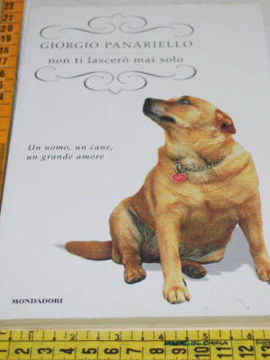 Panariello Giorgio - Non ti lascerò mai solo - Mondadori
