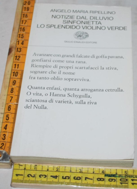 Ripellino - Notizie dal diluvio sinfonietta lo splendido violino