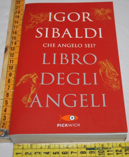 Sibaldi Igor - Libro degli angeli - Pickwick che angelo sei?